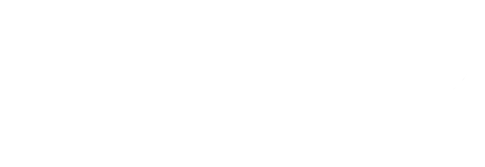 quinny logo